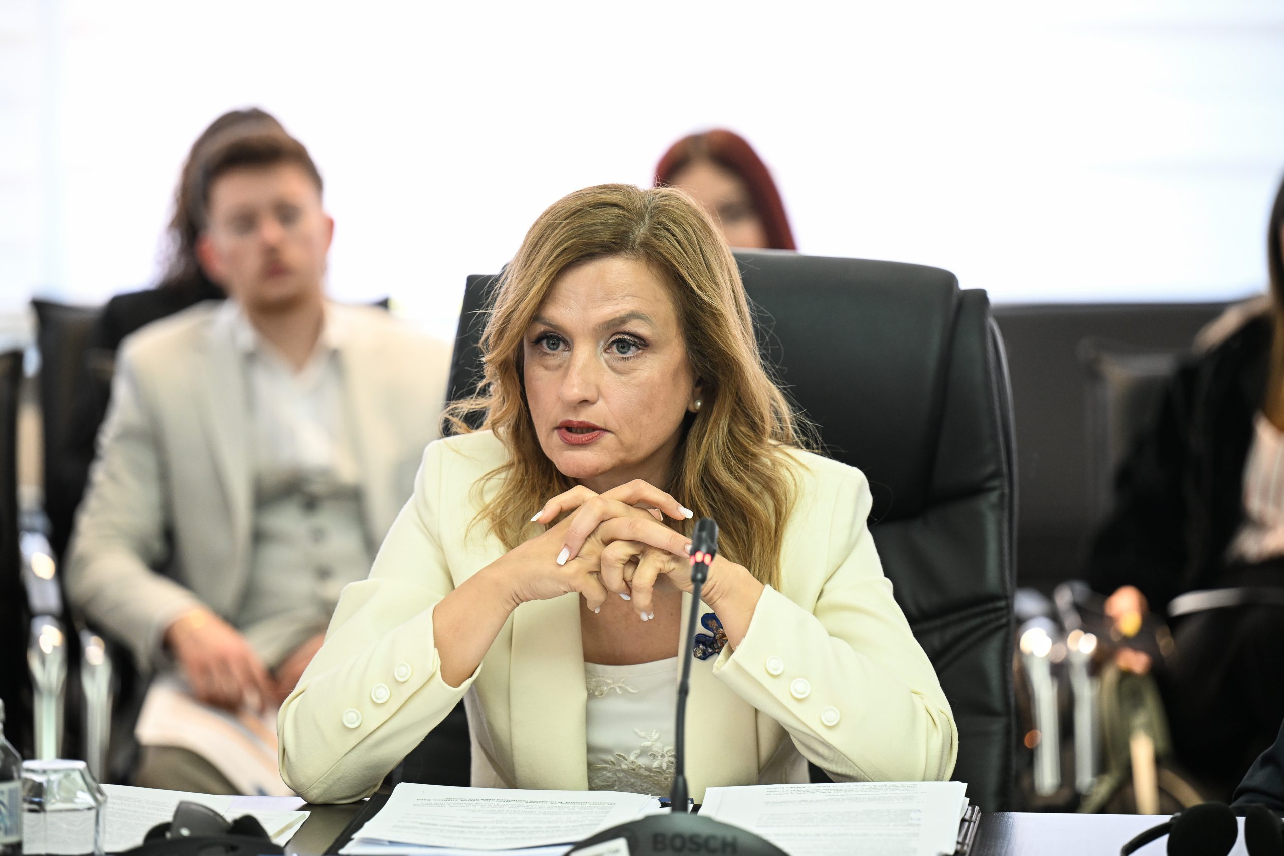 Говор на судијата м-р Татјана Васиќ-Бозаџиева на тркалезната маса „Дали ни е потребен Закон за Уставен суд”