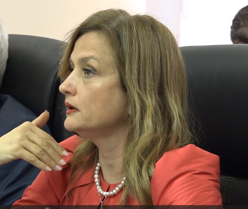 Судија Васиќ-Бозаџиева: За уставна тужба се потребни уставни измени, институционален раст и правна култура