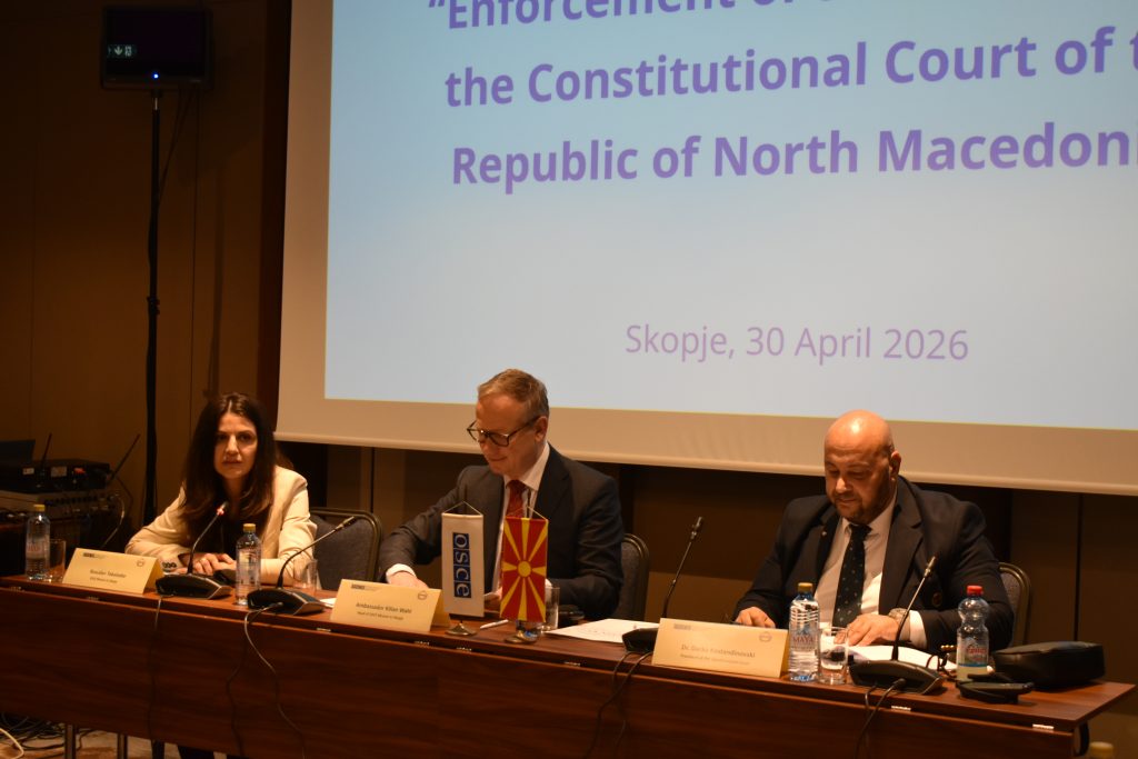 Kostadinovski: Enforcement of Constitutional Court Decisions Is a Test of the Rule of Law